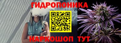 спиды Дубна