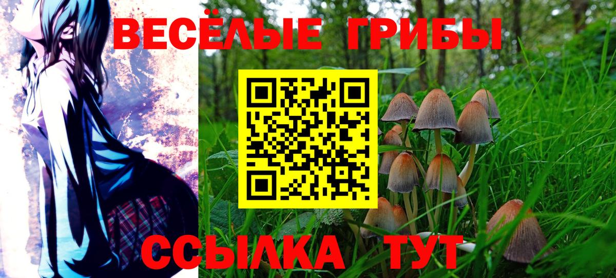 Псилоцибиновые грибы прущие грибы Коммунар