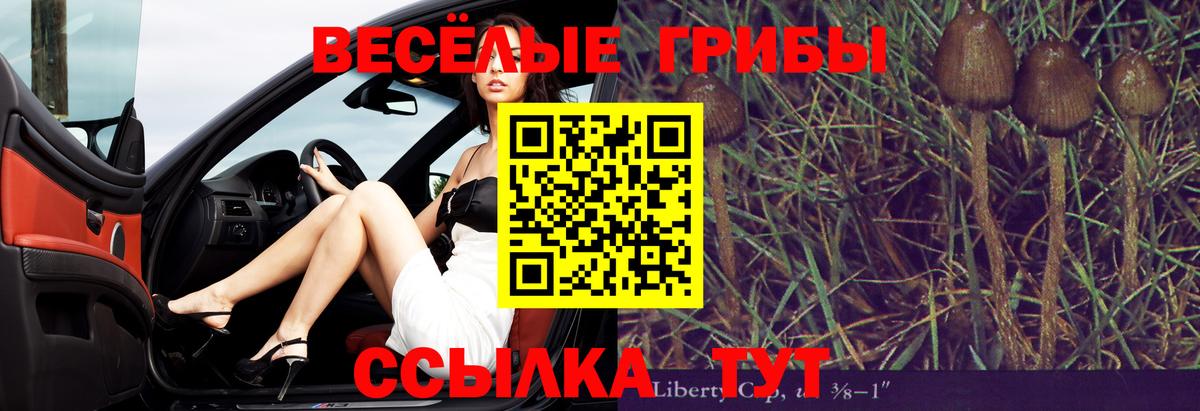 Коммунар  наркота  Вход с VPN  Галлюциногенные грибы прущие грибы 
